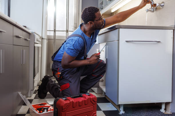 Professional Plumbing services in Benton Harbor, MI